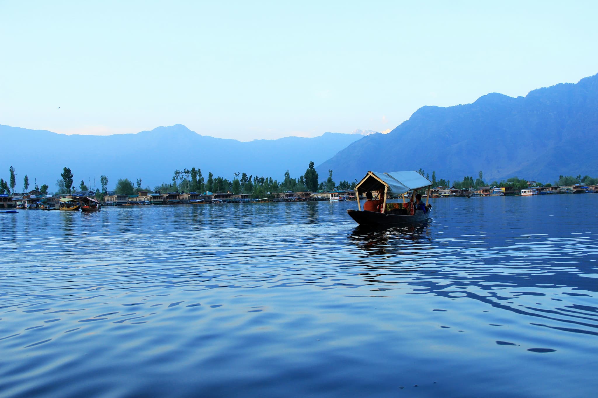 Shikara boat on Dal Lake at sunrise, Srinagar