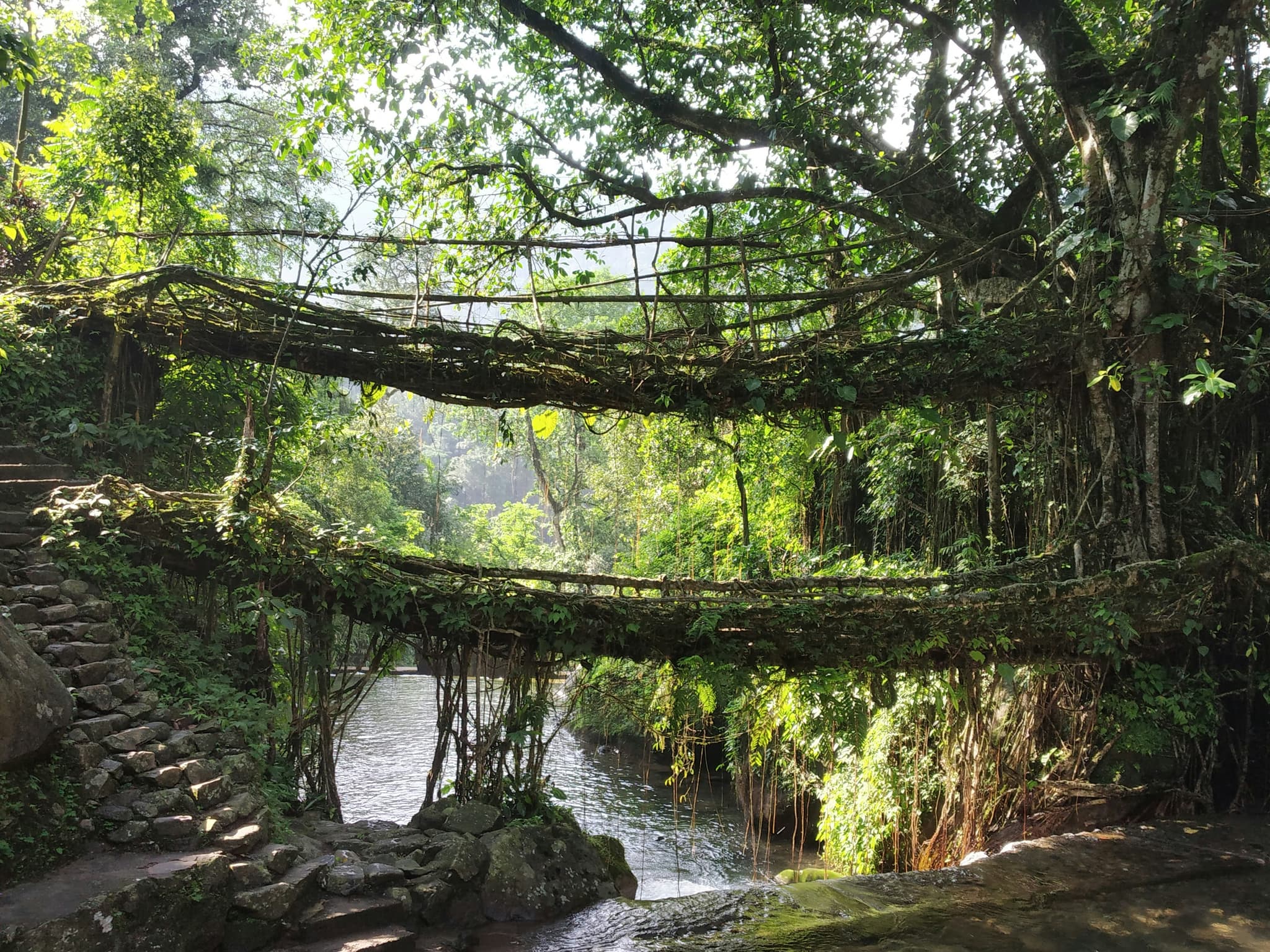 Meghalaya, Northeast India — Living root bridges, waterfalls & the cleanest river in Asia