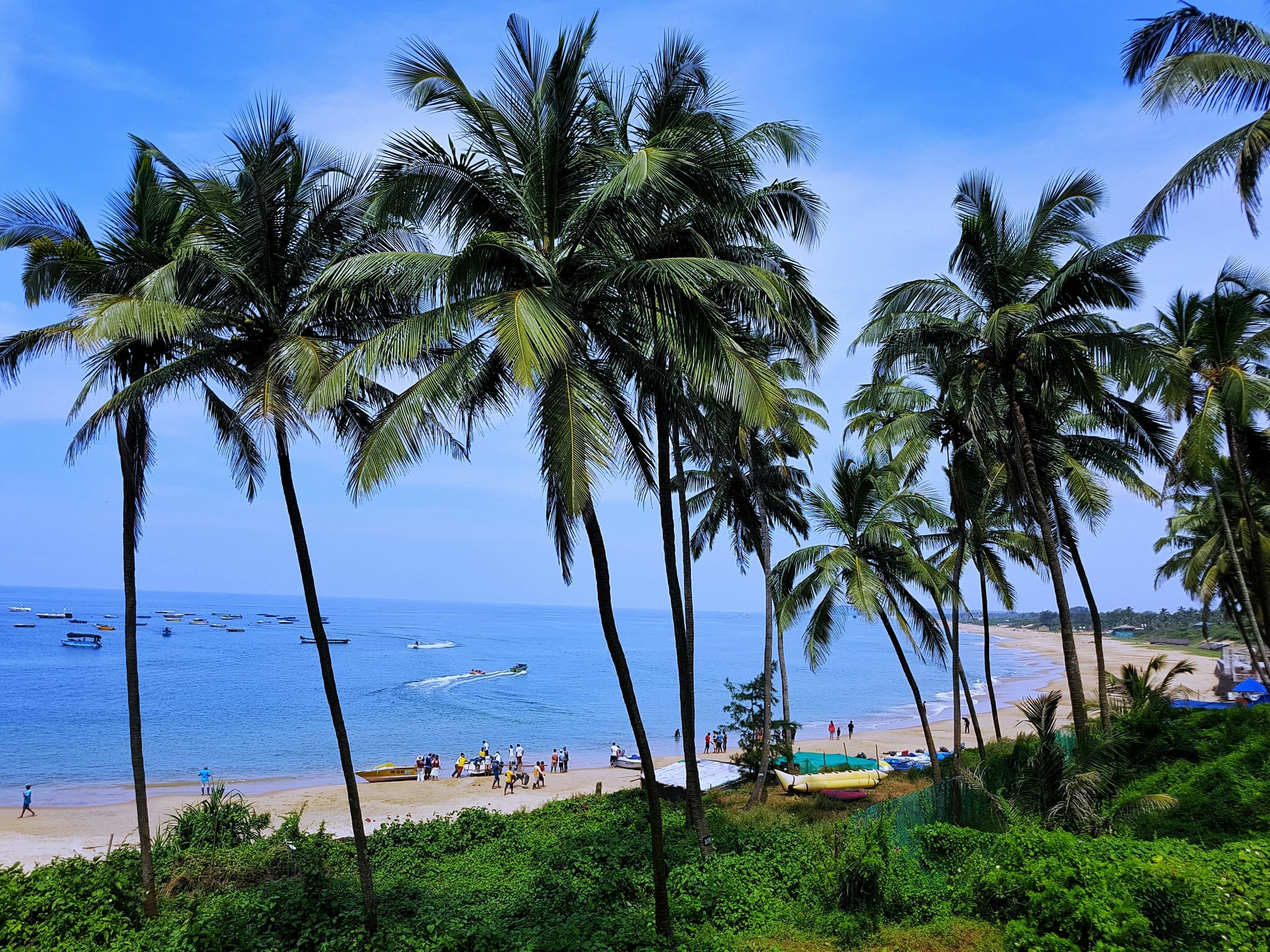 Turquoise water and a quiet palm-lined beach in Goa