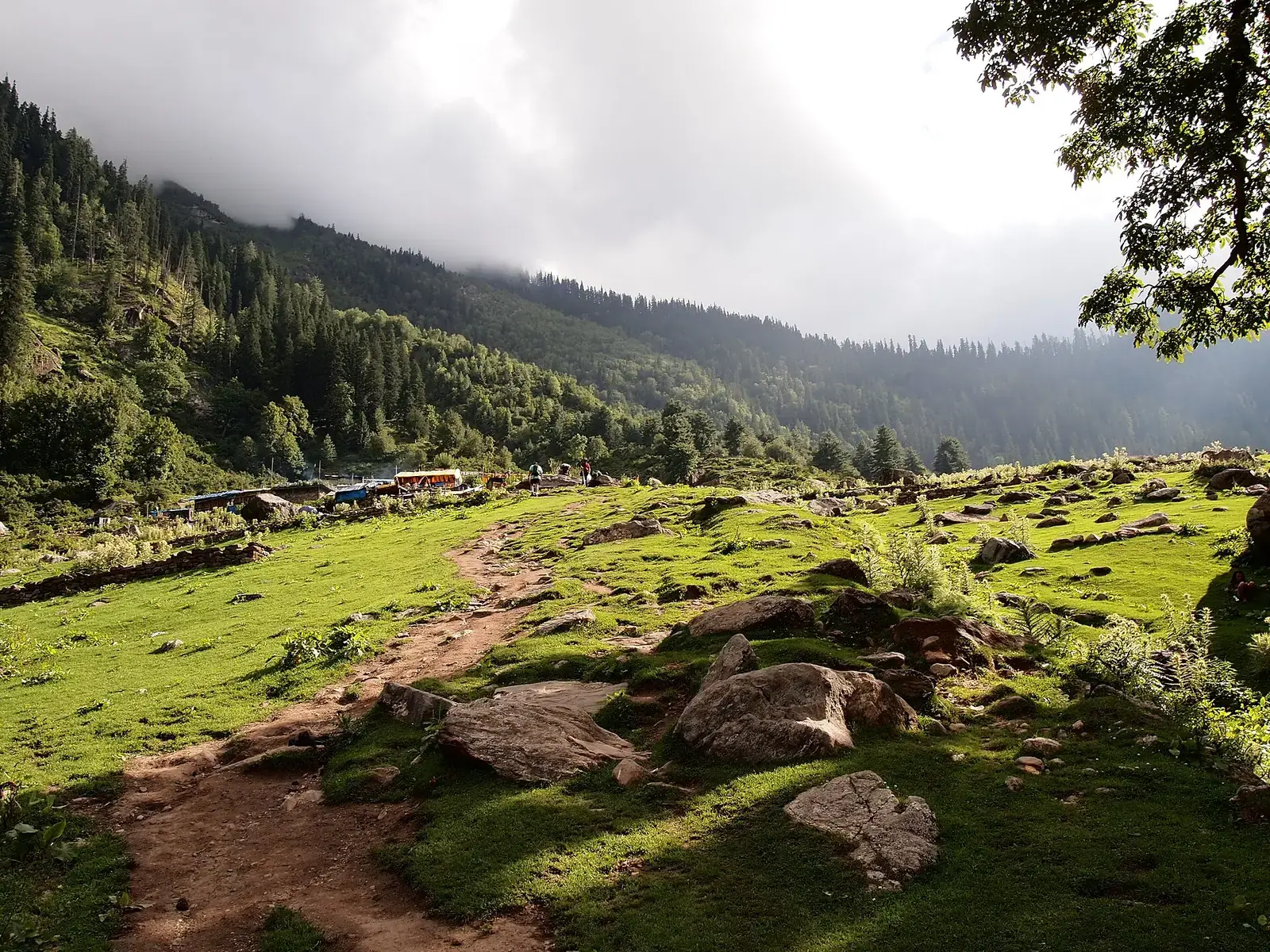 Meadow and trail at Kheerganga in the Parvati Valley