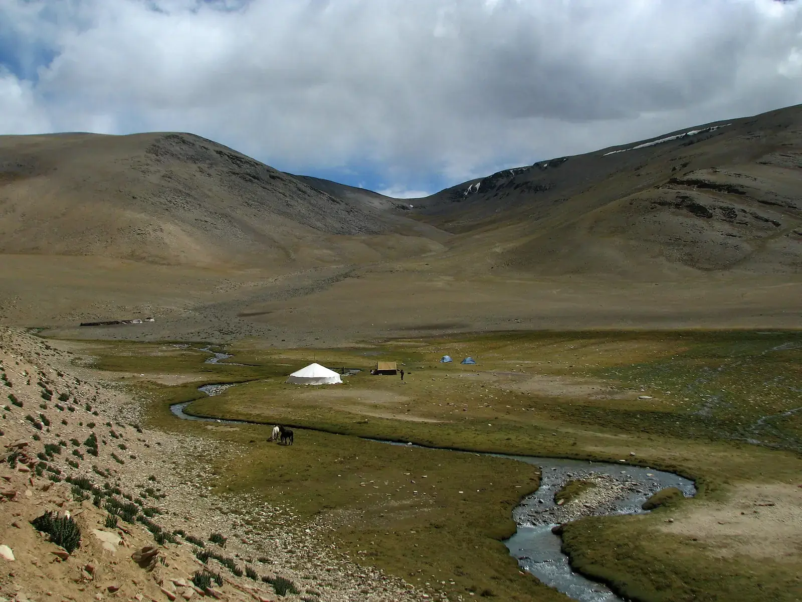 Nomad camp tents in a high valley at Rajung Karu, Ladakh