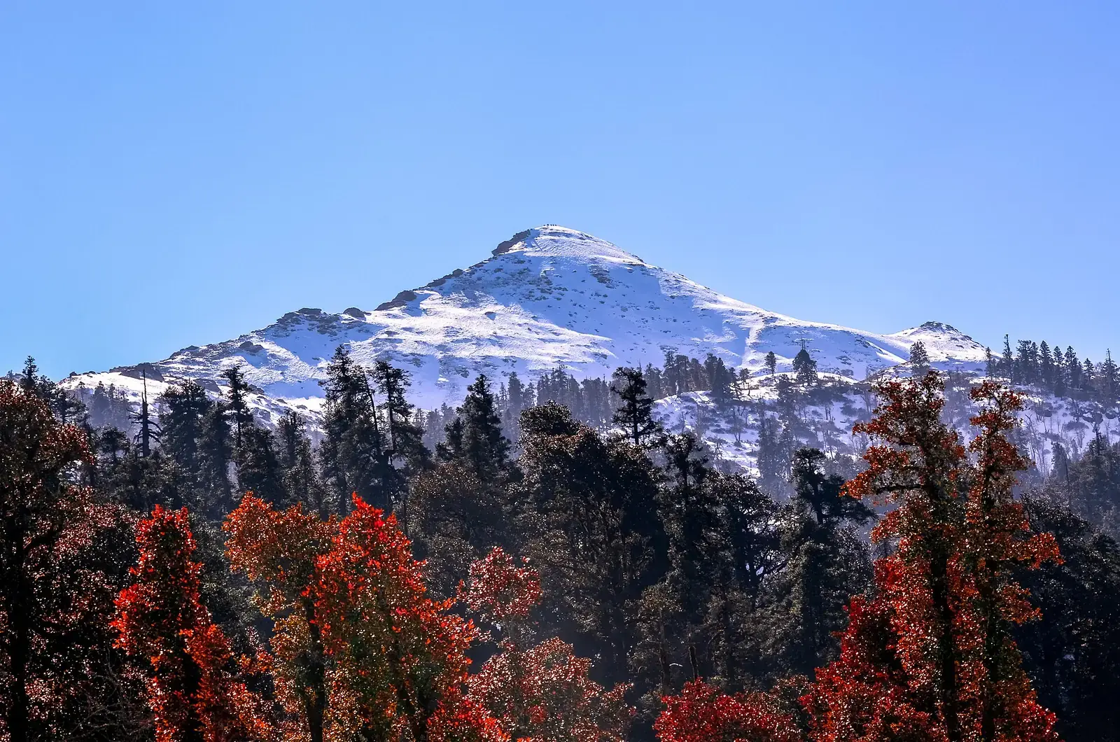 Kedarkantha peak above autumn forest in Uttarakhand