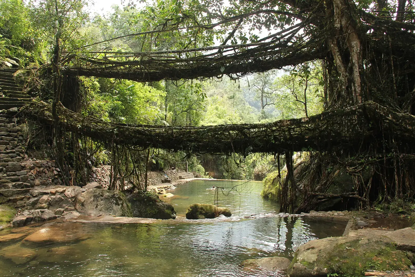 The double-decker living root bridge at Nongriat, Meghalaya
