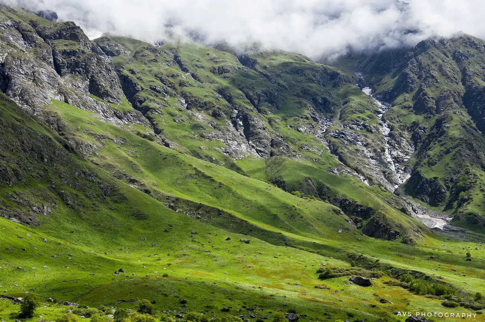 Green slopes of the Valley of Flowers in the monsoon