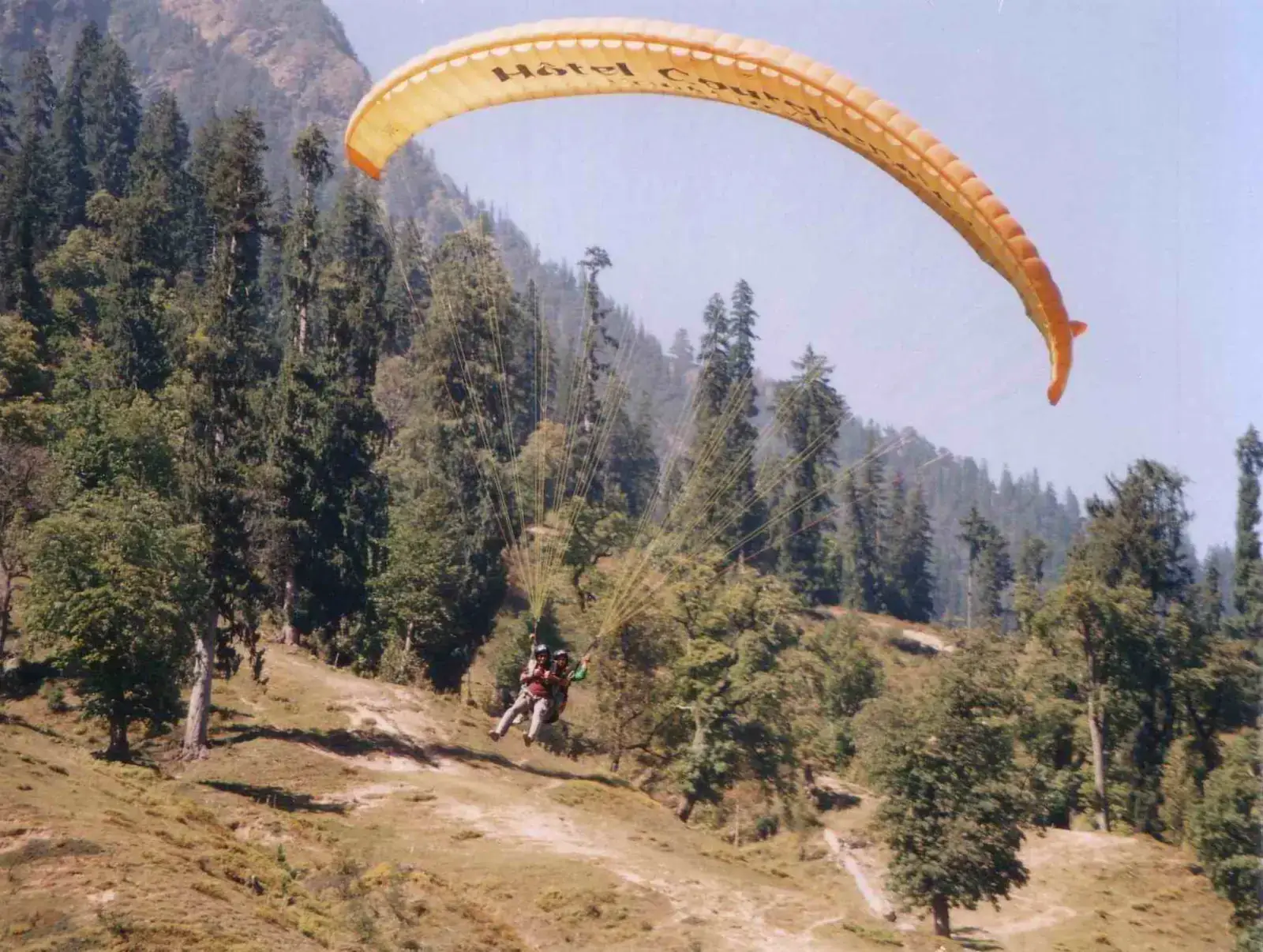 A paraglider over pine forest in Solang Valley, Manali