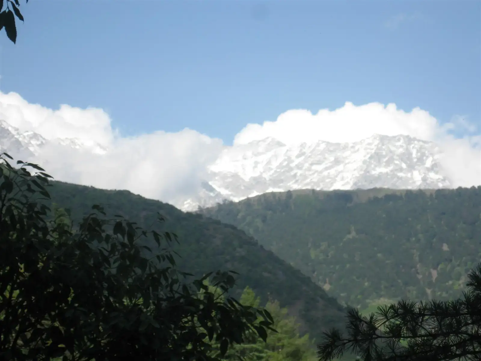 Snow on the Dhauladhar range seen from the Triund trail