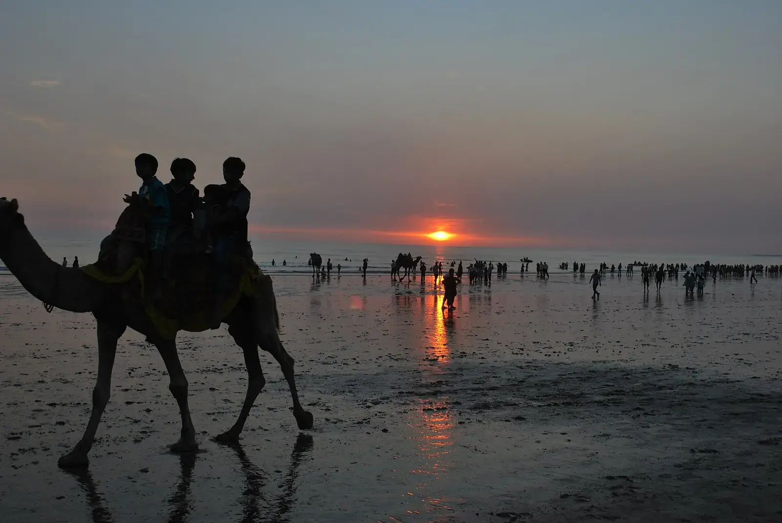 Camel ride at sunset on Mandvi beach, Kutch
