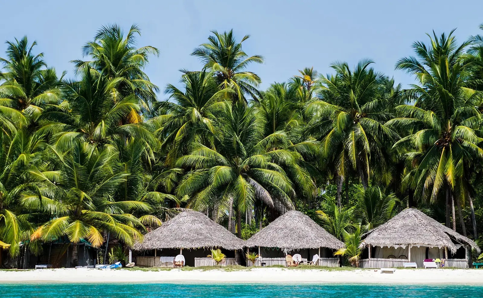 Thatched huts under palms on Bangaram Island, Lakshadweep