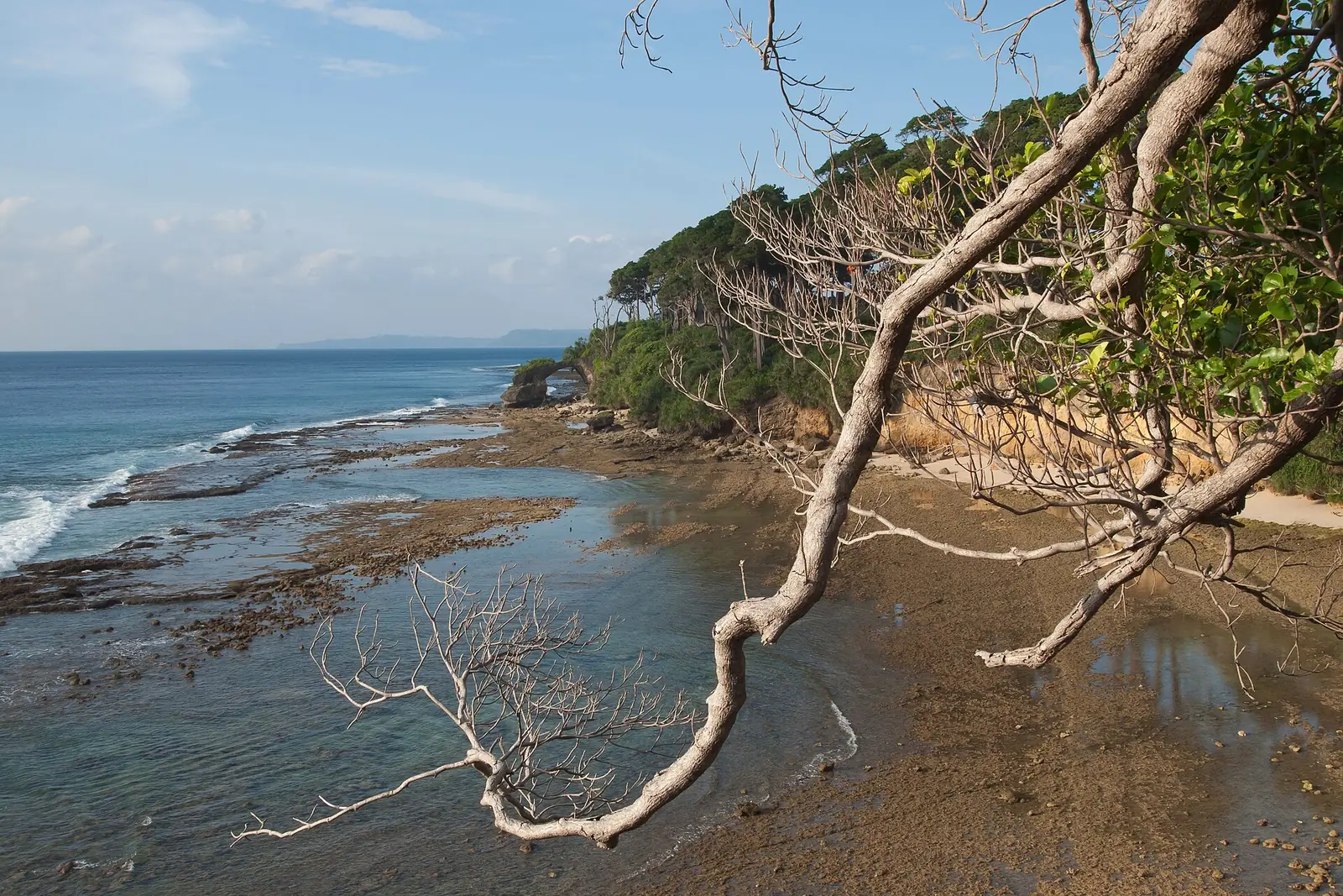 Andaman Islands Travel Guide: Beaches, Diving, Permits & Tips