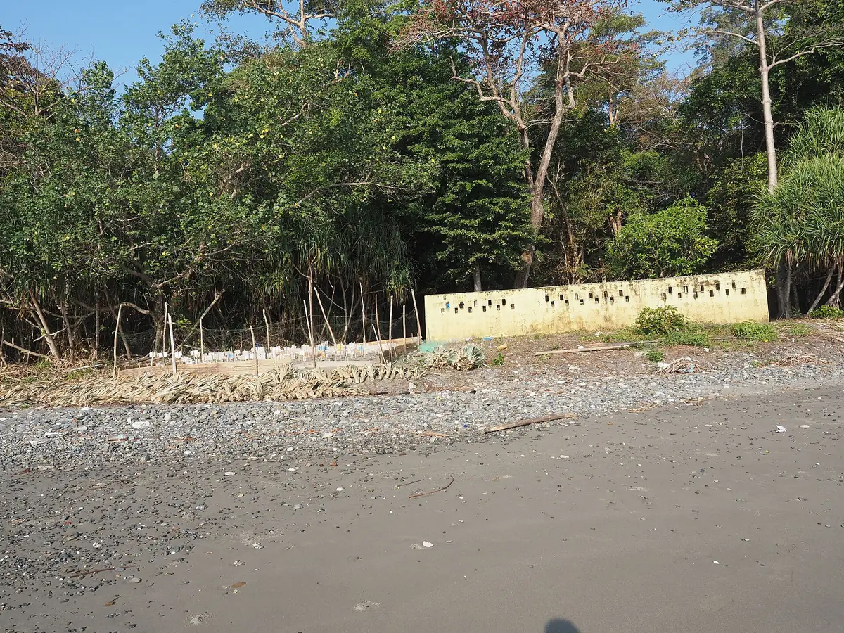 Kalipur Beach, Andaman & Nicobar Islands