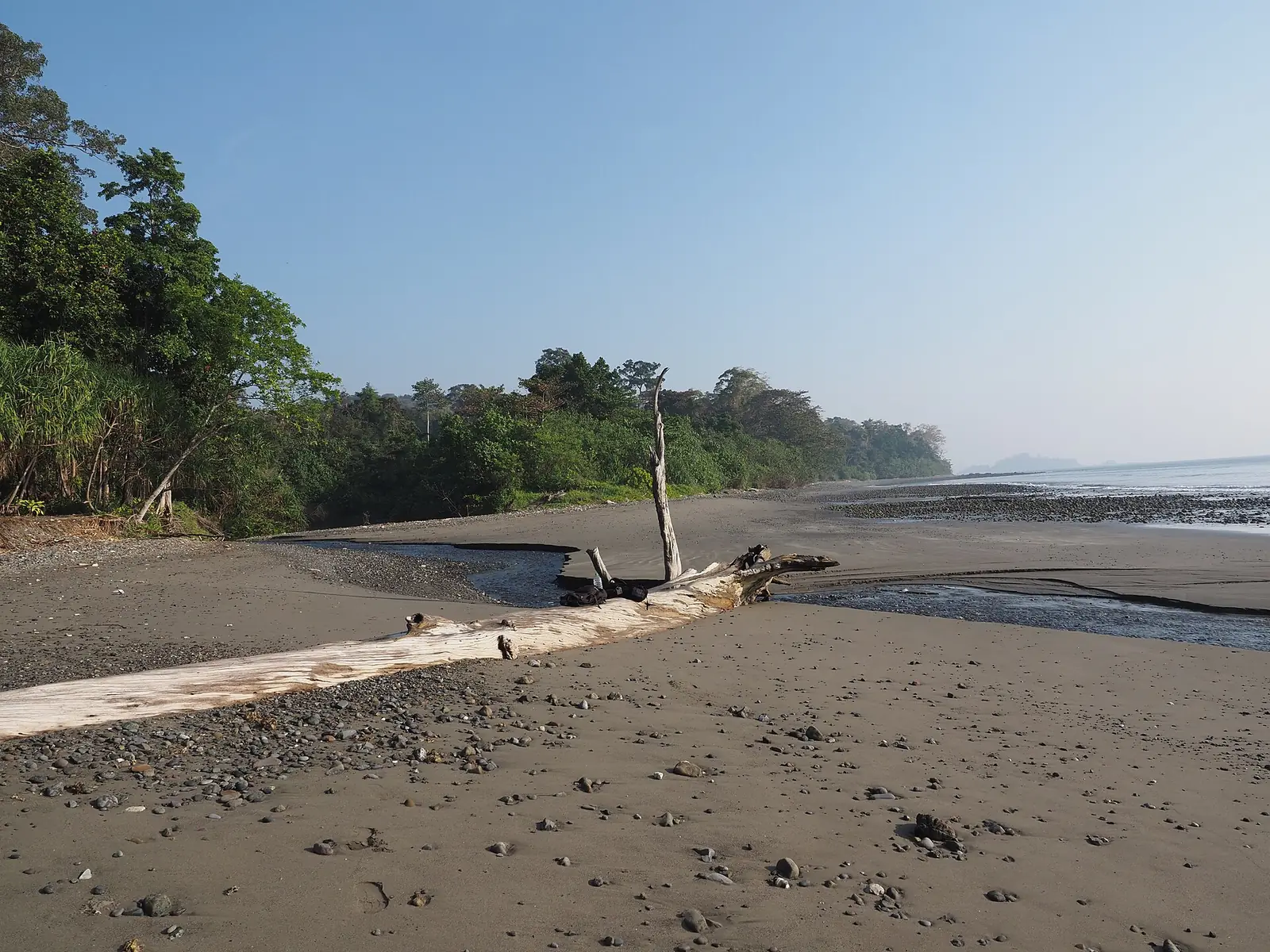 Kalipur Beach Travel Guide: Turtles, Saddle Peak & Tips