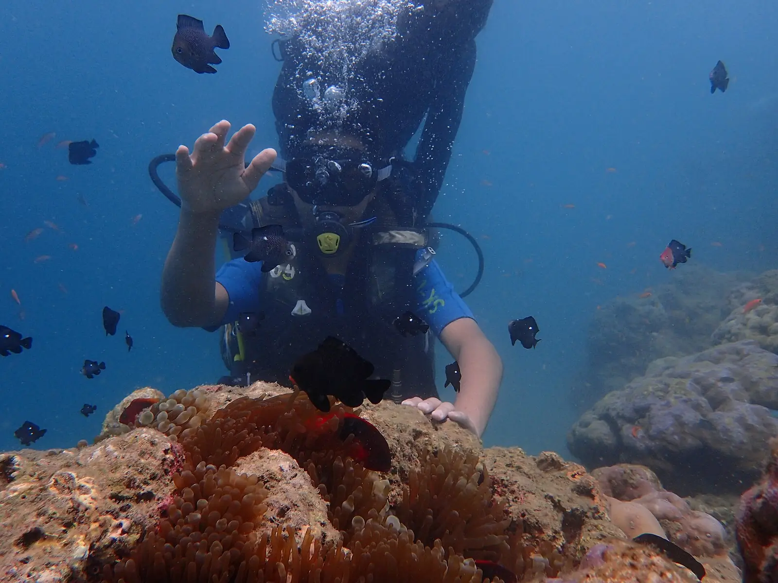 North Bay Island Andaman: Coral, Sea Walking & Visit Guide