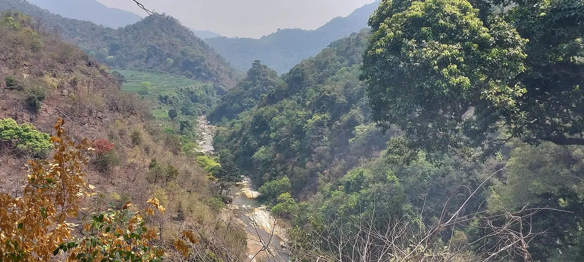 Araku Valley Travel Guide: Coffee Hills & the Train Journey Through 58 Tunnels