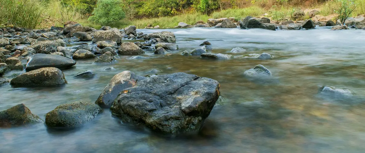 Maredumilli Travel Guide: Rainforest Eco-Tourism in the Eastern Ghats
