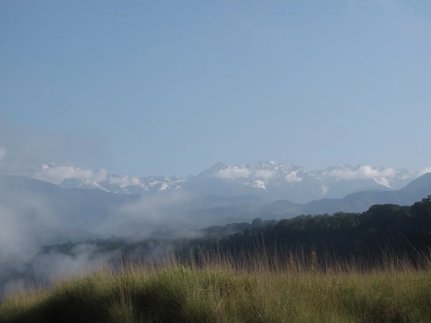 Forest landscape in Namdapha National Park, Arunachal Pradesh