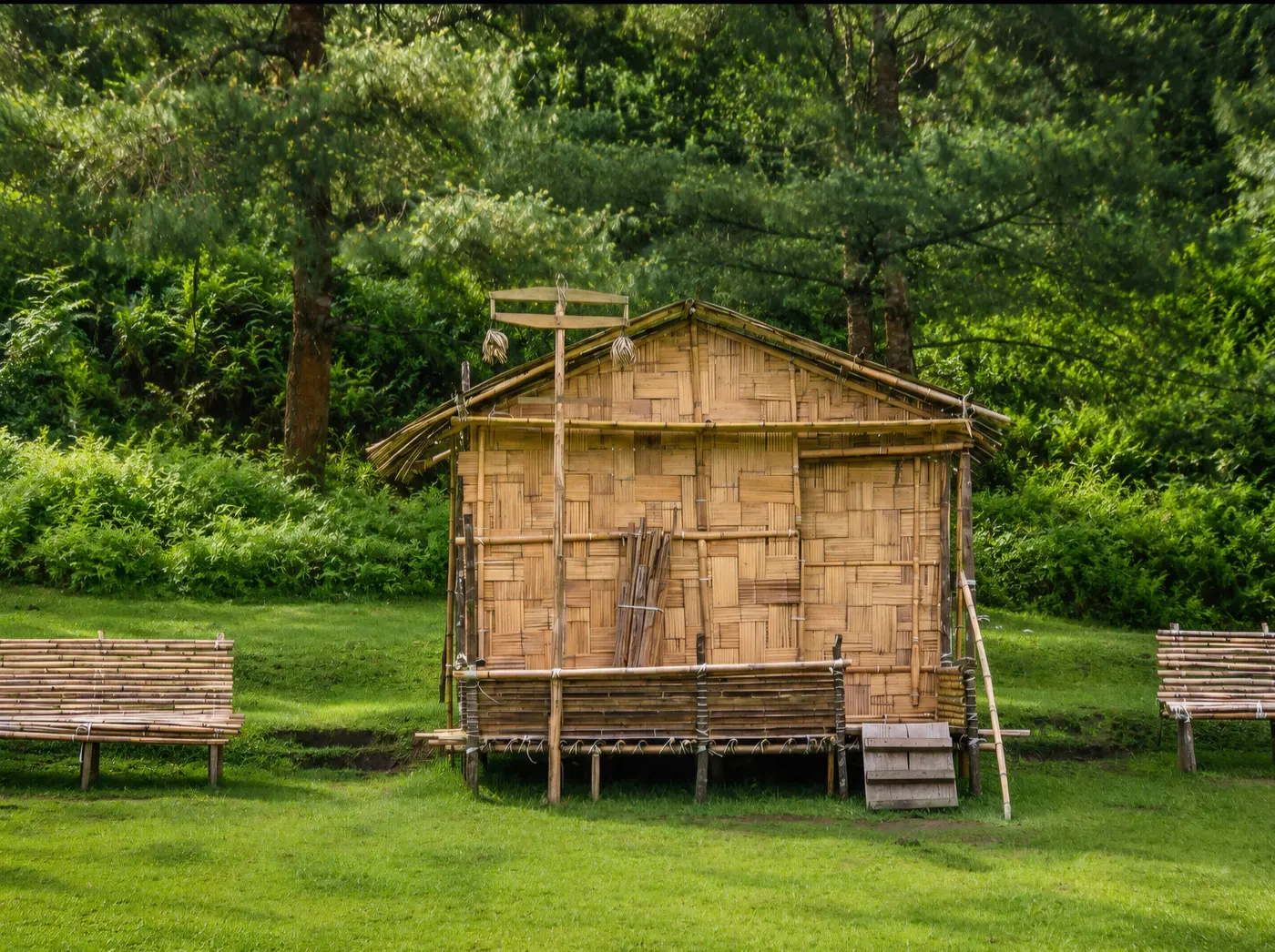 Traditional Apatani bamboo house surrounded by greenery in a Ziro Valley village