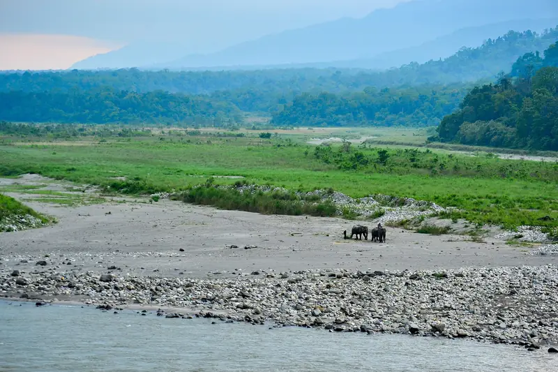 Manas National Park, Assam