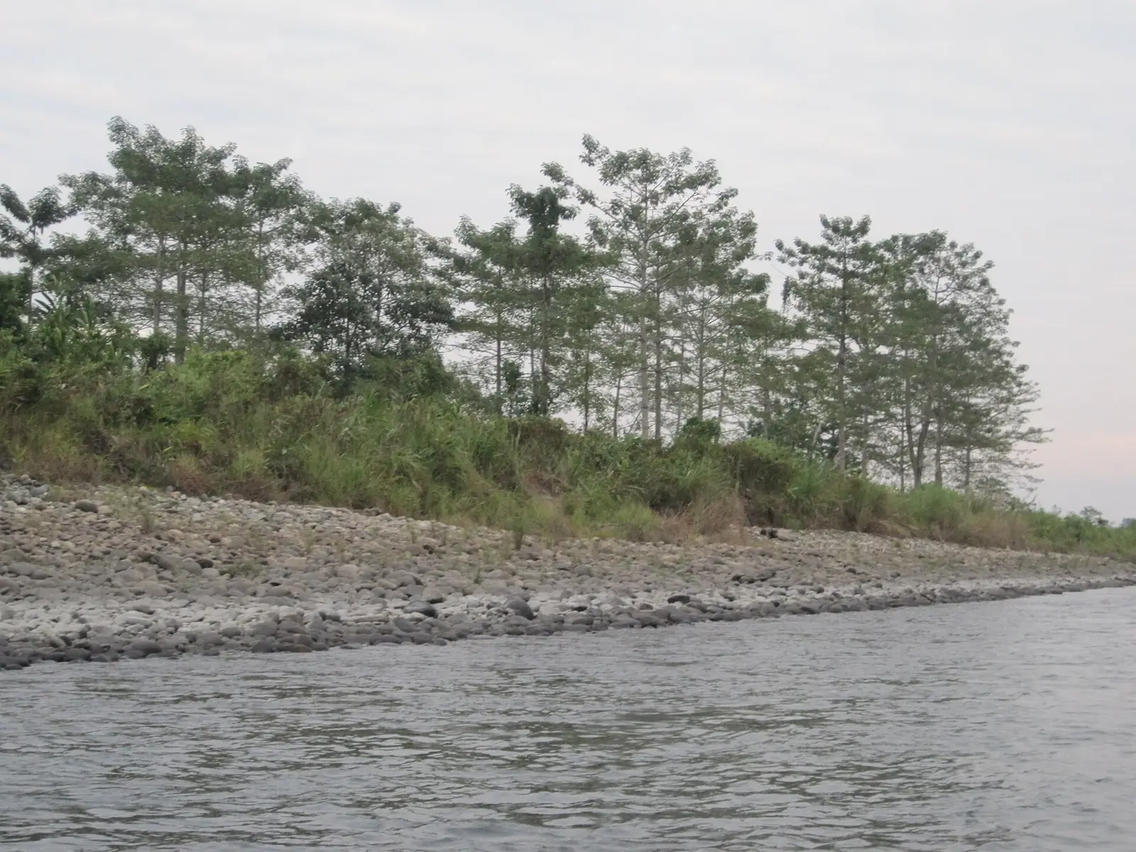 Nameri National Park Travel Guide: Rafting & Birdwatching