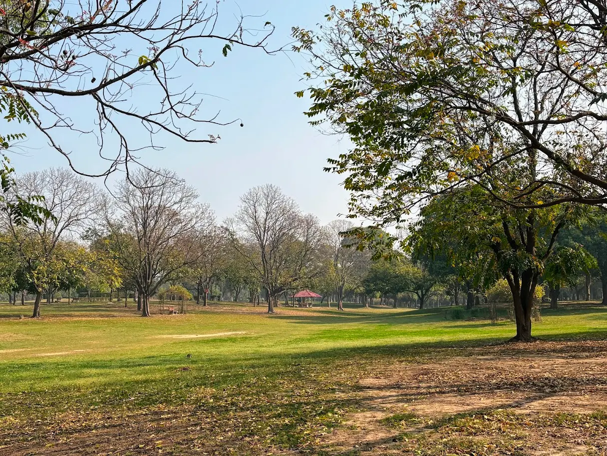 Leisure Valley Chandigarh: The City's Green Corridor Guide
