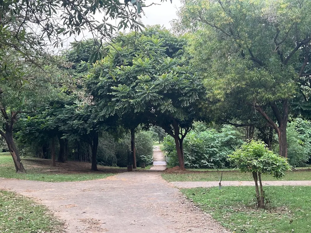 A shaded, tree-lined walking trail through Chandigarh's Leisure Valley, connecting one garden to the next
