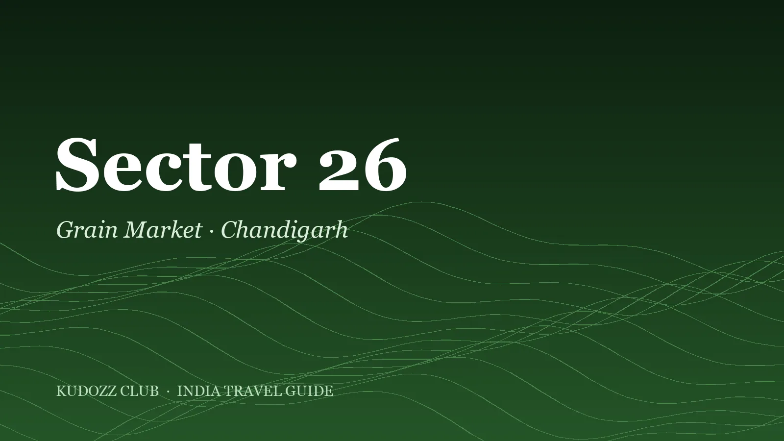Sector 26 Chandigarh: Grain Market Food Street Guide