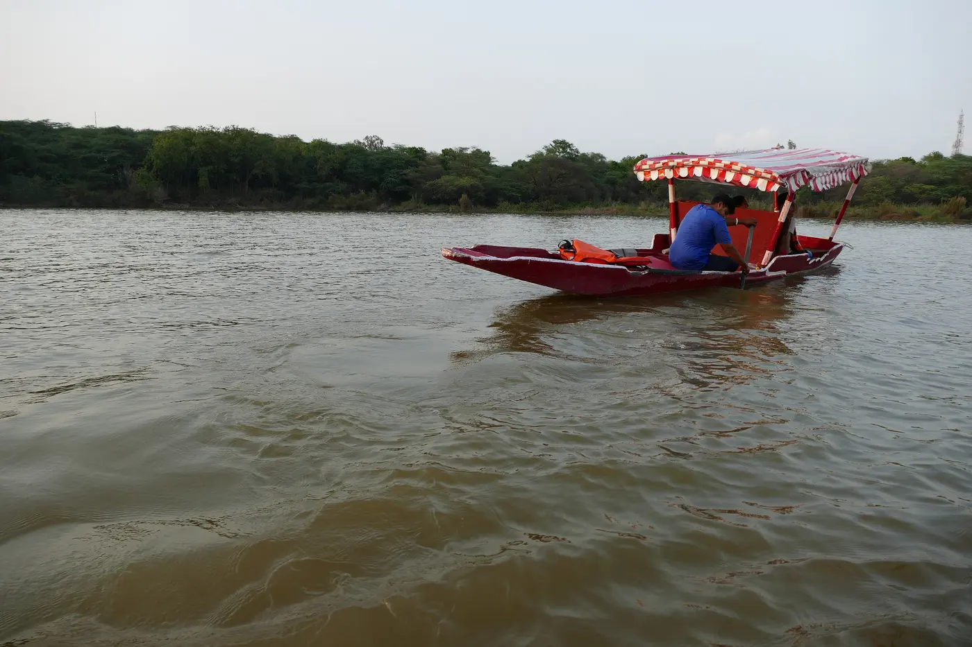 A canopied shikara boat crossing the still water of Sukhna Lake with the tree-lined far shore behind it