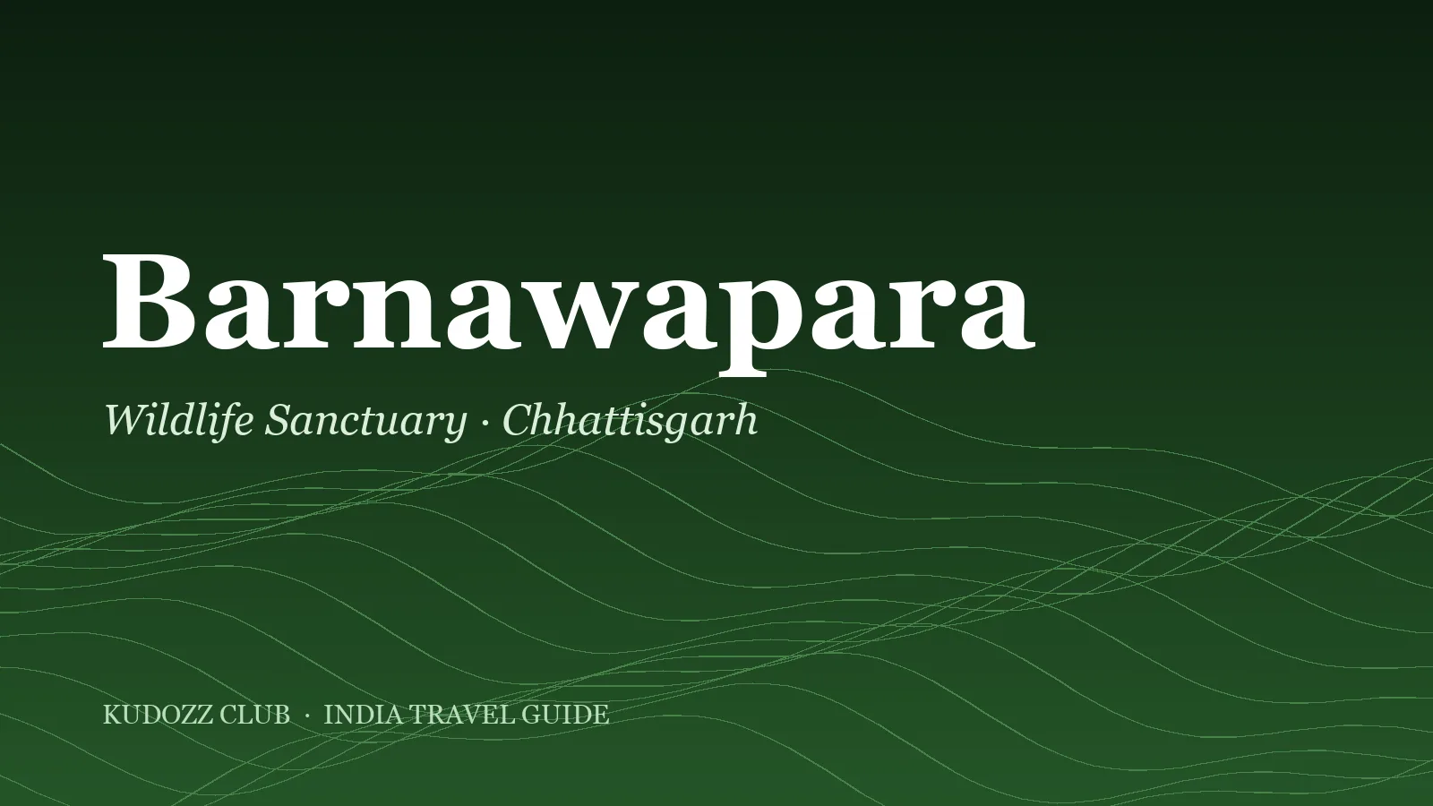 Barnawapara Wildlife Sanctuary Travel Guide: Safari Near Raipur