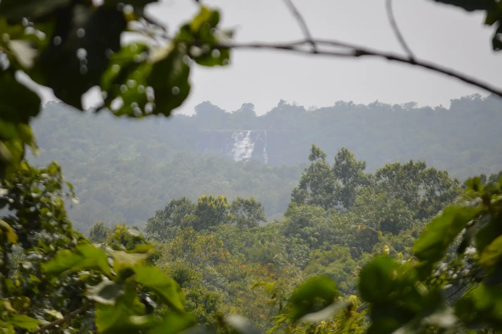 Kanger Valley National Park Travel Guide: Caves, Falls & Wildlife