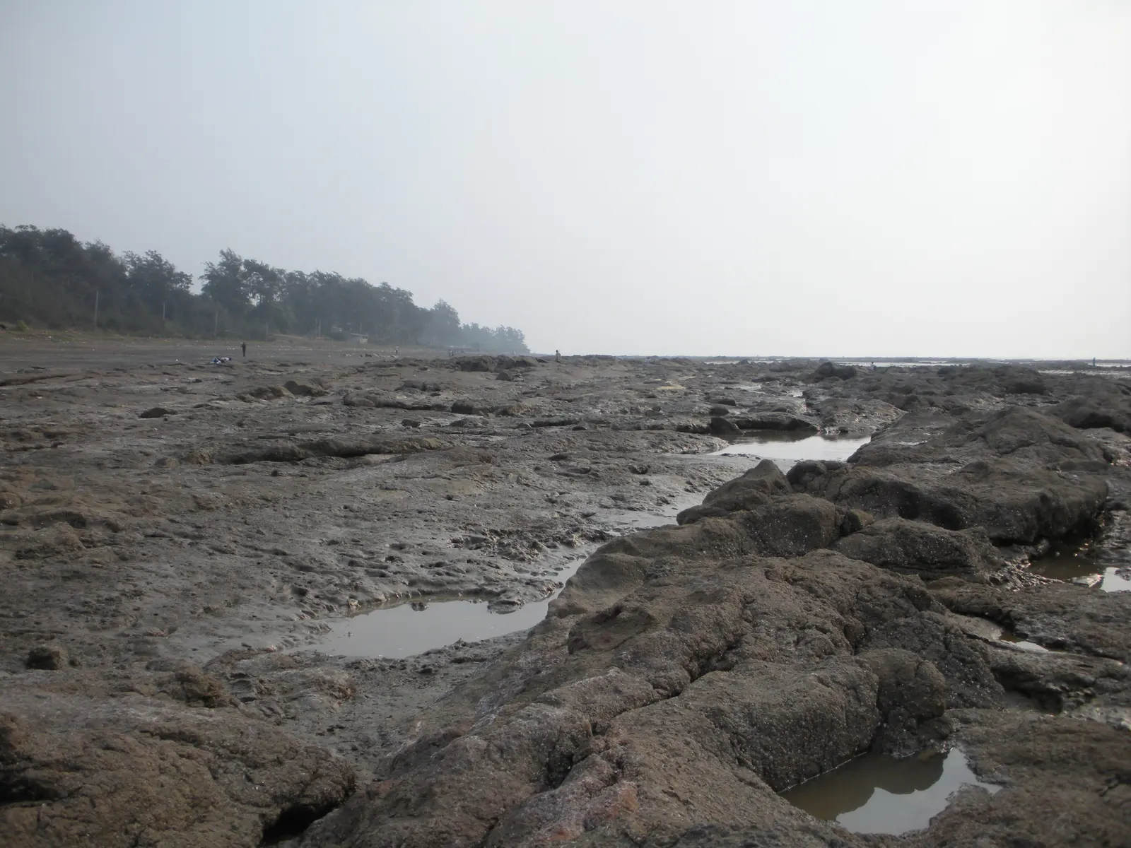 Exposed rocky tidal flats and tide pools at Devka Beach during low tide, Daman
