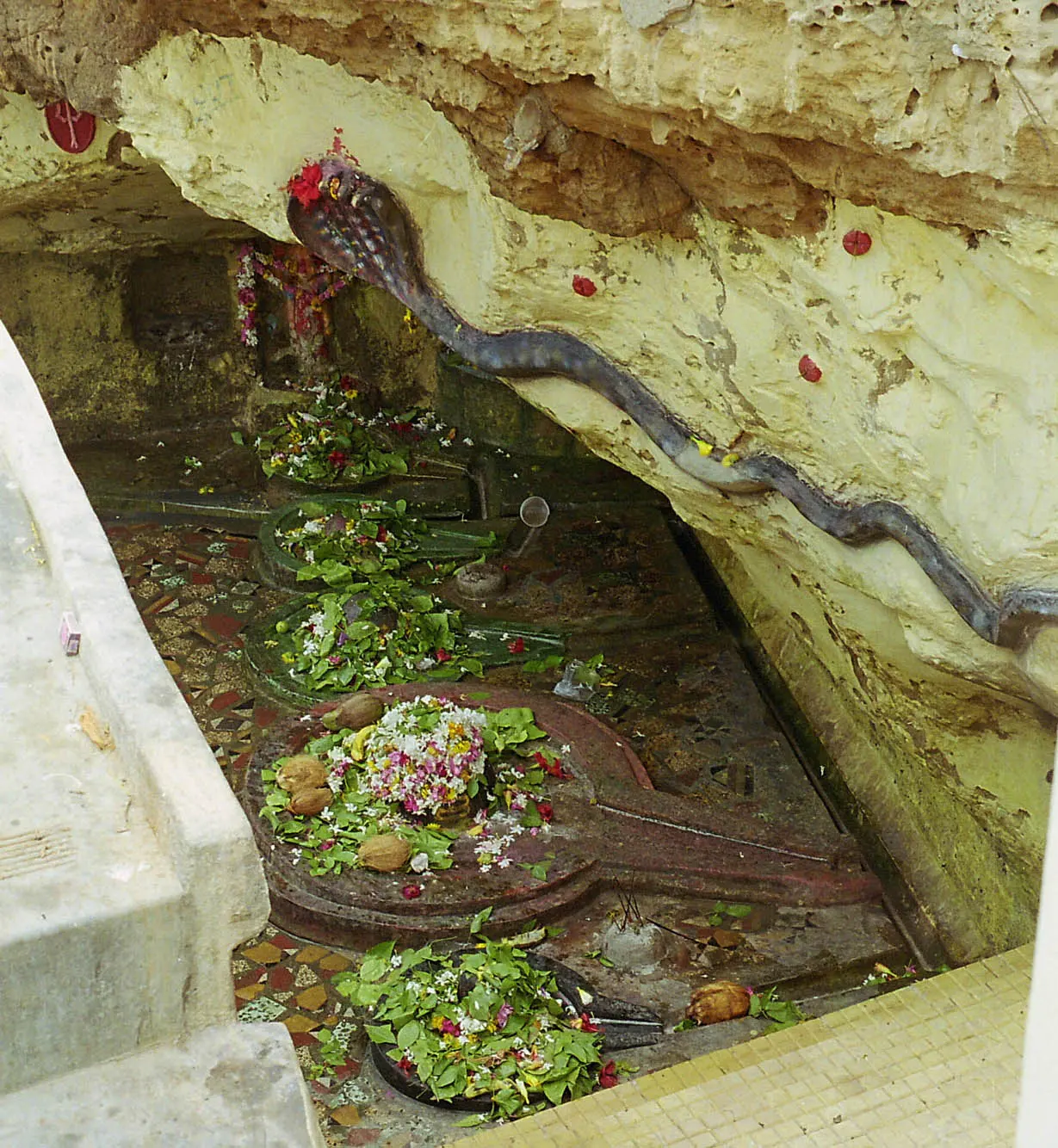The five natural rock Shiva lingams tucked into the boulder crevice at Gangeshwar Temple, Diu