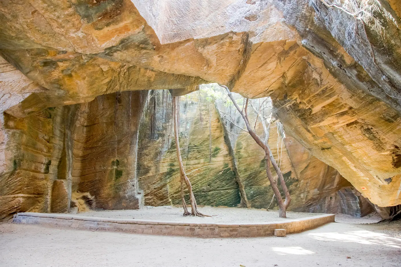 Chamber and tree roots in the Naida Caves