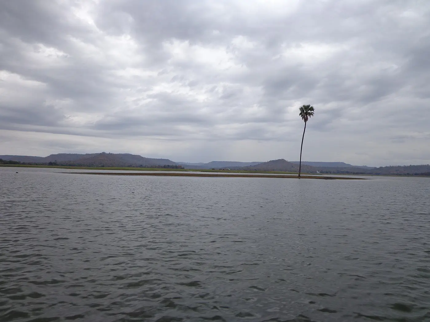 A lone palm tree on a narrow sandbar in the Dudhni reservoir, with wooded hills reflected in the still water