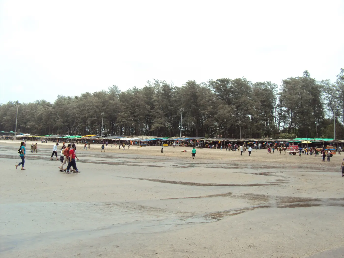 Beach shacks lined up under the casuarina tree line at Jampore Beach, Daman