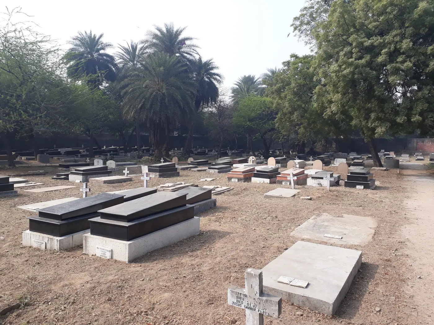 Rows of weathered gravestones under palm and neem trees at Nicholson Cemetery, near Kashmere Gate