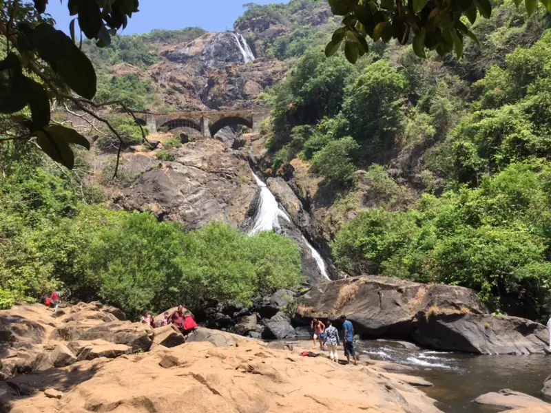 Dudhsagar Falls, Mollem National Park