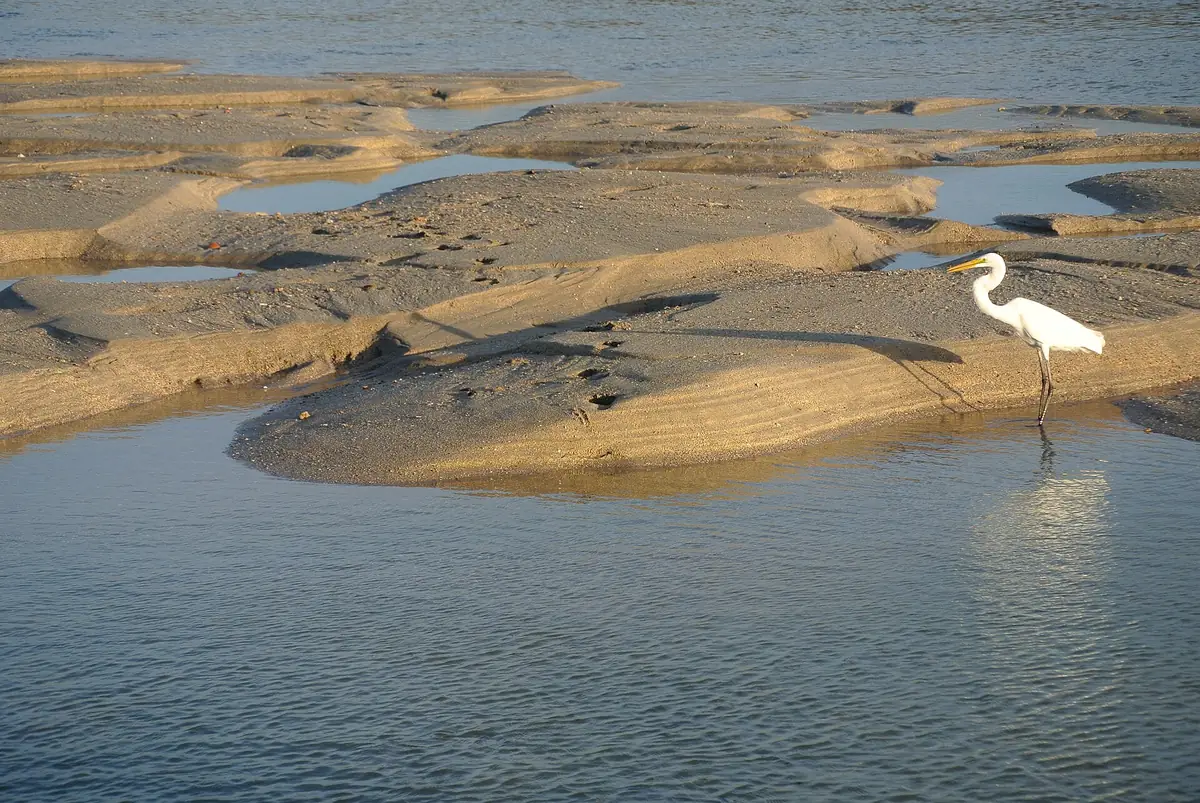 Dwarka, Gujarat