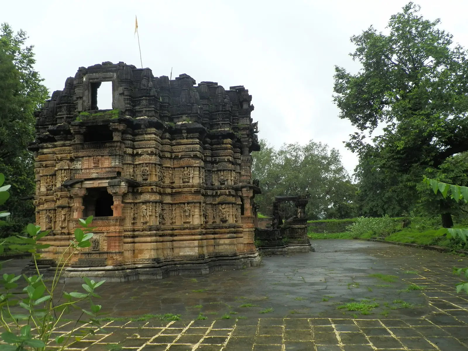 Polo Forest Travel Guide: Ruined Temples in the Aravalli Jungle