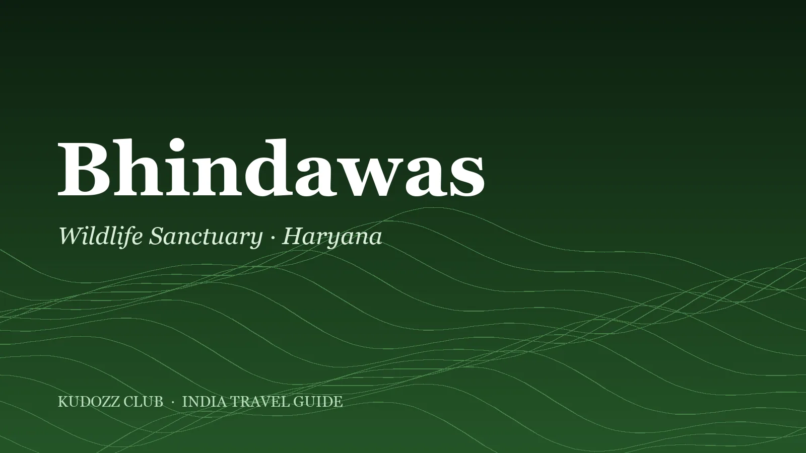 Bhindawas Wildlife Sanctuary Travel Guide: Haryana's Largest Wetland
