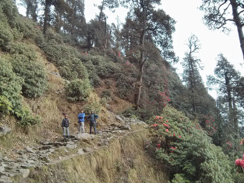 Trekkers on the trail to Triund