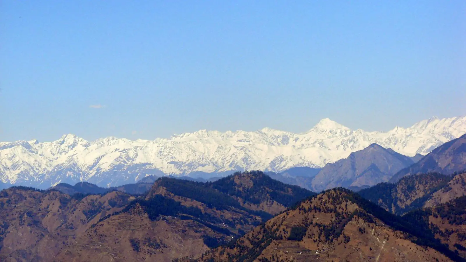 Jibhi Travel Guide: Waterfalls, Cafes & Himachal's Quiet Village