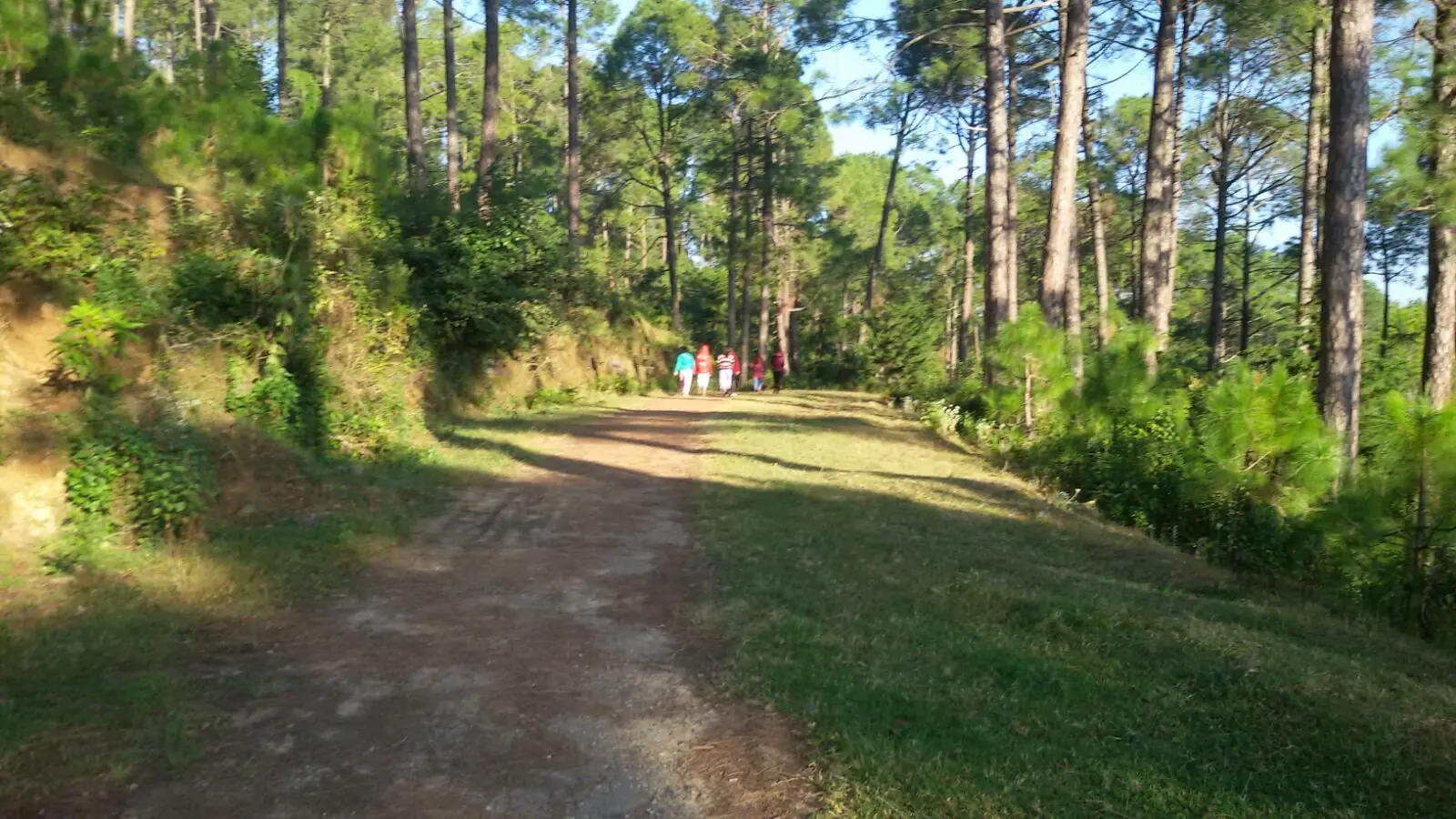 Kasauli Travel Guide: Quiet Cantonment Hill Town Near Chandigarh