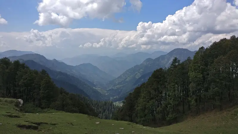 Forest near the Jalori Pass