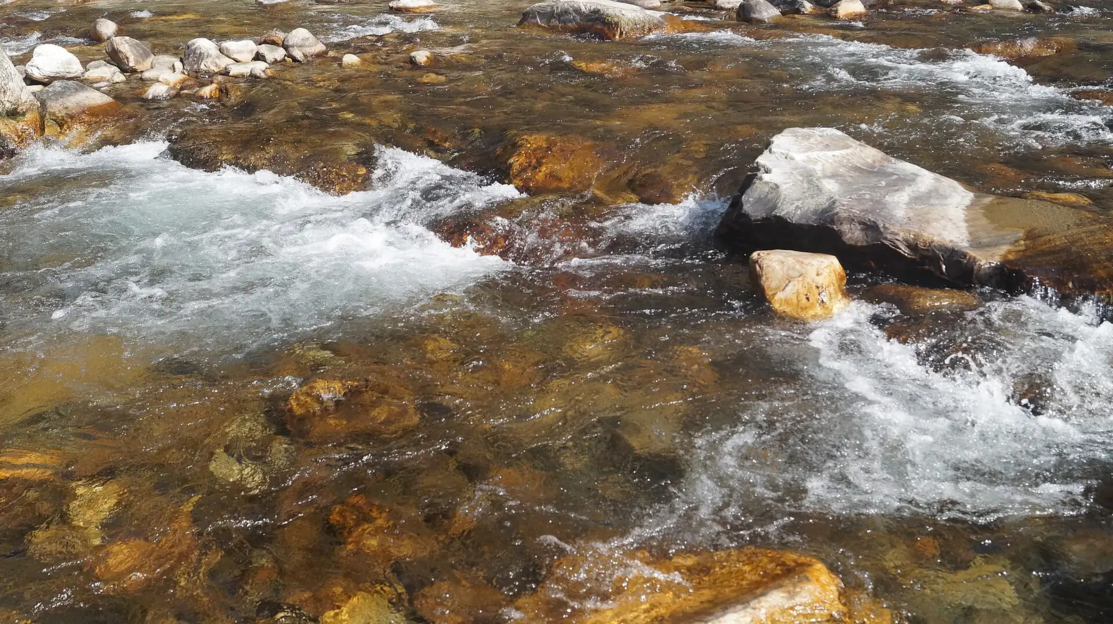 Tirthan Valley Travel Guide: Trout Fishing & GHNP Gateway