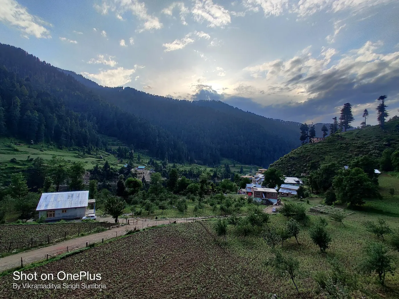 A farming village of tin-roofed houses set among terraced fields and pine-forested slopes near Bhaderwah, Doda district