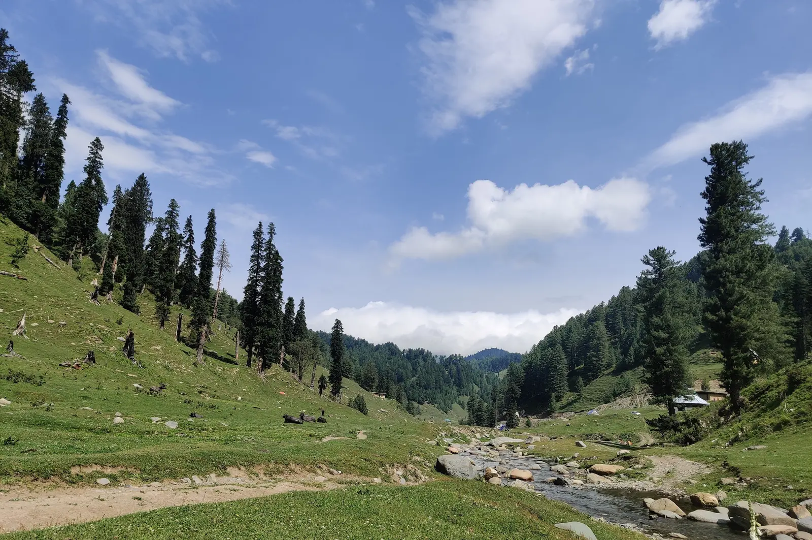 Bhaderwah Travel Guide: J&K's Mini Kashmir