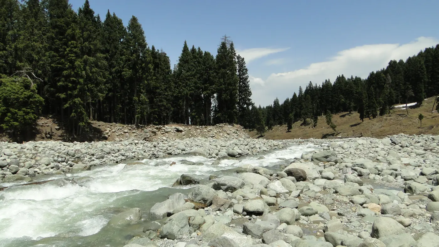 The Shaliganga stream churning white over boulders near Doodhpathri, framed by pine forest