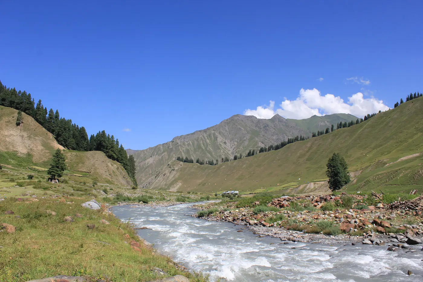 The fast-flowing, glacier-fed Kishanganga River rushing through the green Gurez Valley