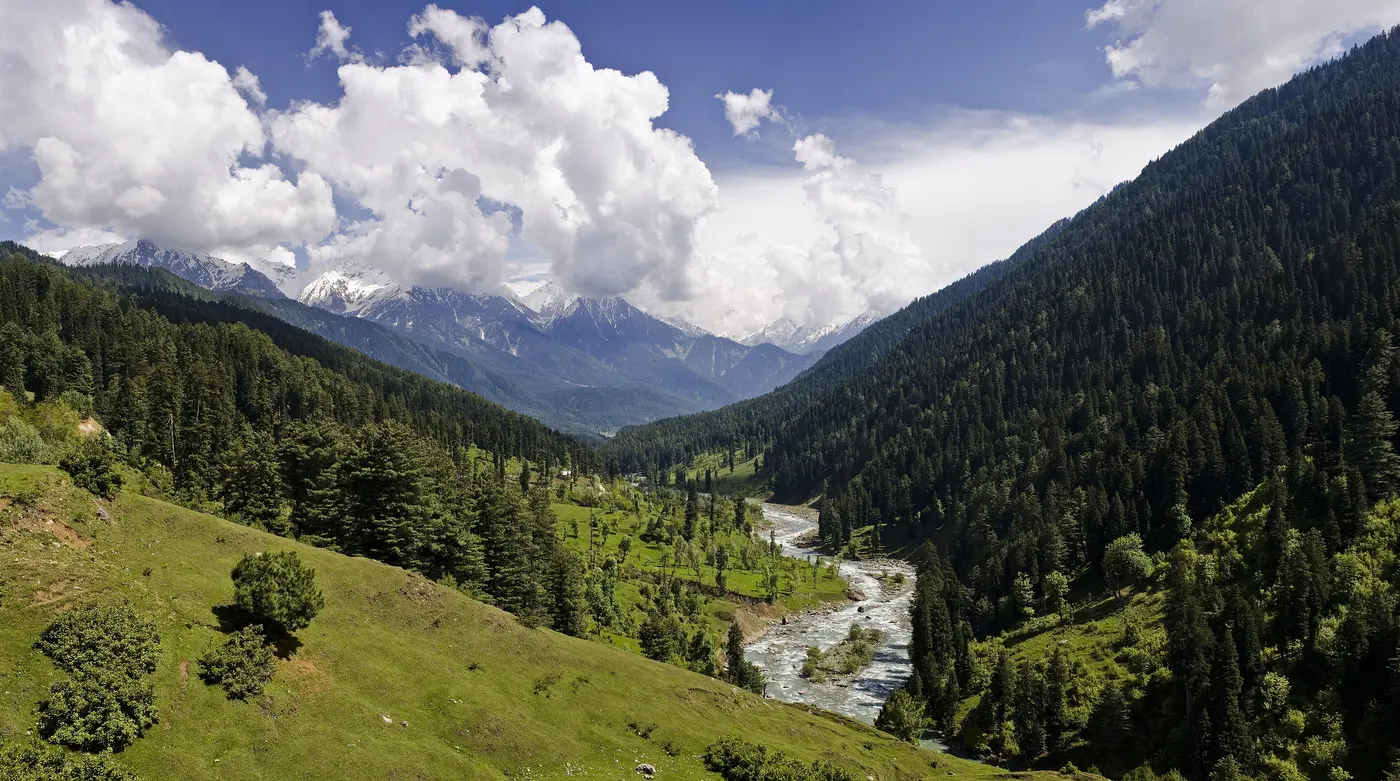 Green pine-forested valley with the Lidder River winding through Pahalgam