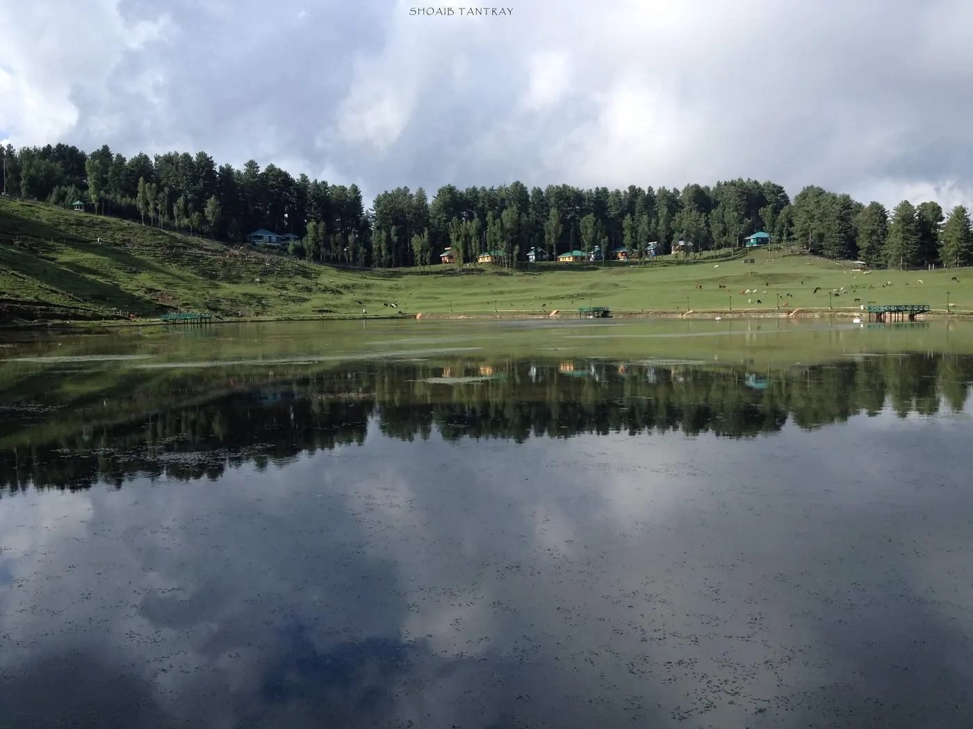 Sanasar lake ringed by forest and meadow near Patnitop, Jammu and Kashmir