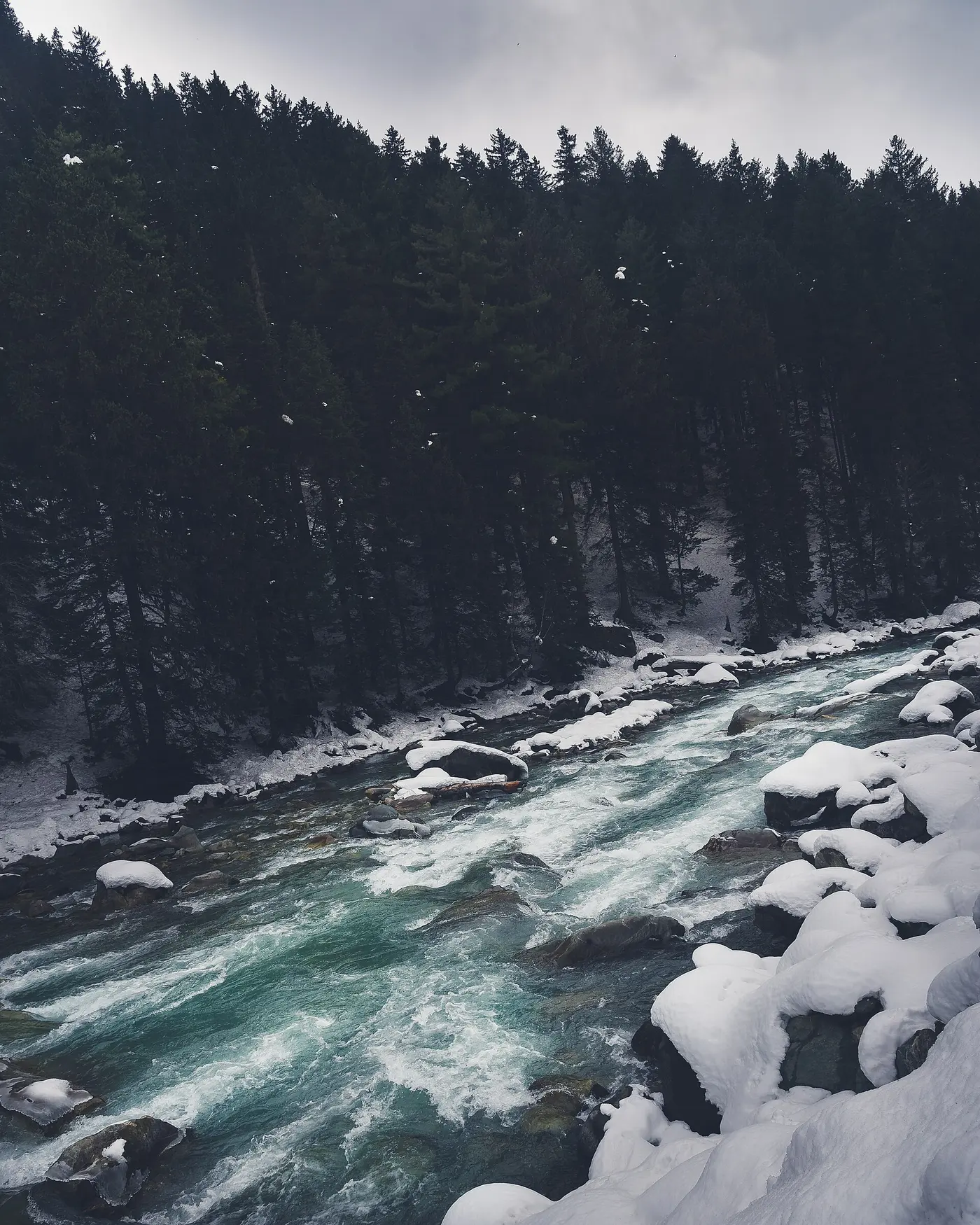 The Sindh River rushing over snow-covered rocks through pine forest near Sonamarg